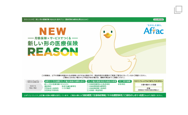 月額保障×サービスでつくる 新しい形の医療保険 REASON のPDFを開く